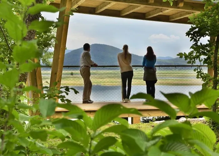 Hisa Zdravega Oddiha Begunje pri Cerknici